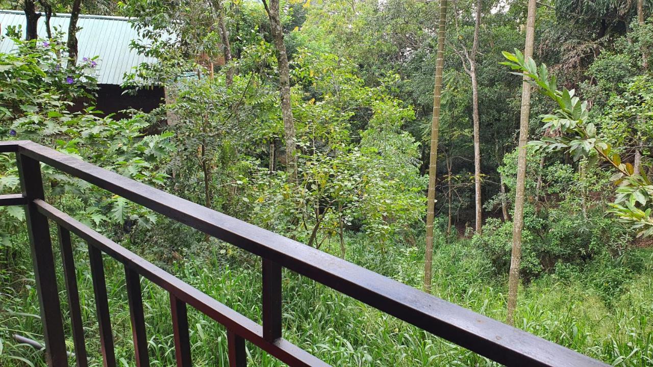 Eco Zone Resort Ella Exterior foto